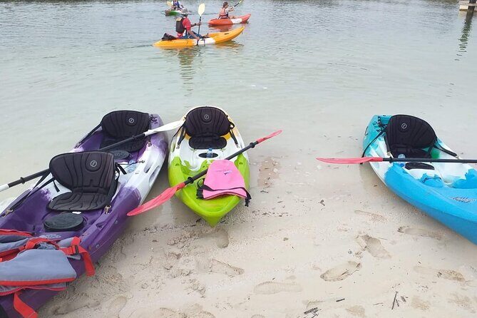 Mangrove Kayaking Abu Dhabi - When Eastern Mangroves are closed: Reem Island Central Park option