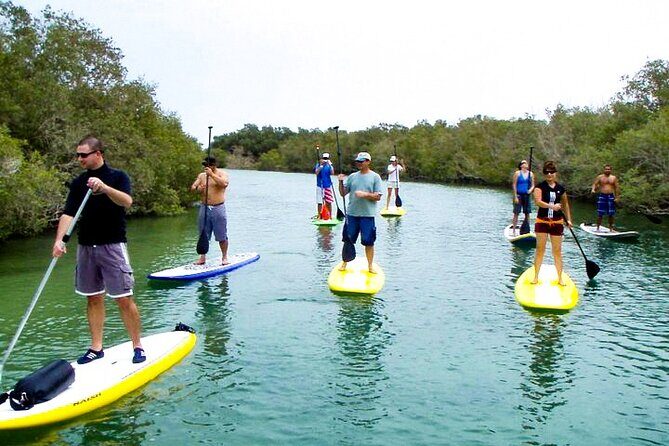 Mangrove Kayaking Abu Dhabi - Timing and heat: pick the coolest part of the day