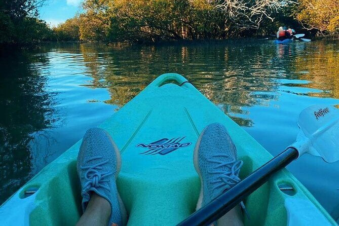 Mangrove Kayaking Abu Dhabi - What you actually need to bring (and what you can skip)