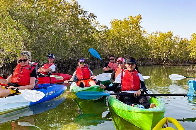 Mangrove Kayaking Abu Dhabi - From hotel pickup to your safety briefing: what the 90 minutes feel like
