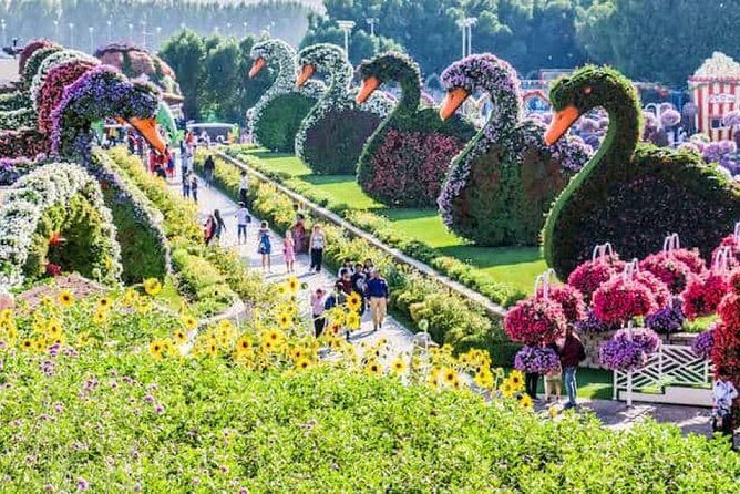 Memorable Evening at Dubai Global Village with Dubai Miracle Garden Visit !! - Who this tour fits best