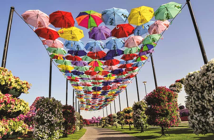Miracle Flora & Fauna Marvels at Miracle Garden - Key things you’ll notice