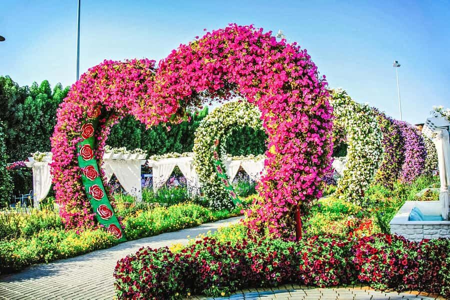 Miracle Flora & Fauna Marvels at Miracle Garden - What the 4-hour schedule really feels like