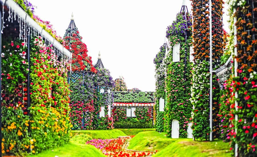 Miracle Flora & Fauna Marvels at Miracle Garden - Getting the most out of Butterfly Garden + Miracle Garden