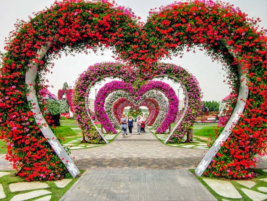 Miracle Flora & Fauna Marvels at Miracle Garden - Should you book this Dubai flower and butterfly tour?