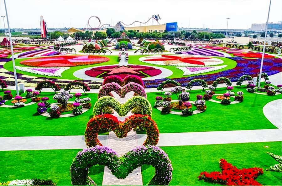 Miracle Flora & Fauna Marvels at Miracle Garden - Miracle Garden: 45 million flowers and the famous wall