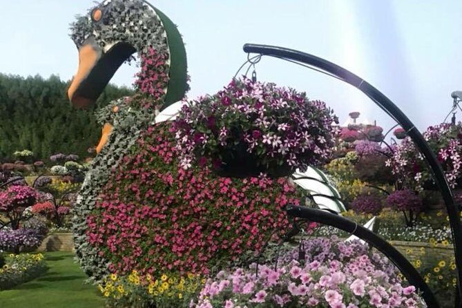 Miracle Garden & Butterfly Garden with Ticket & Private Transfers - Food, water, and comfort: small things that matter