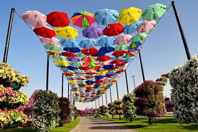 Miracle Garden: Dubai Flora and Fauna 4-Hour Tour - Hotel transport and the English driver guide: why this tour works