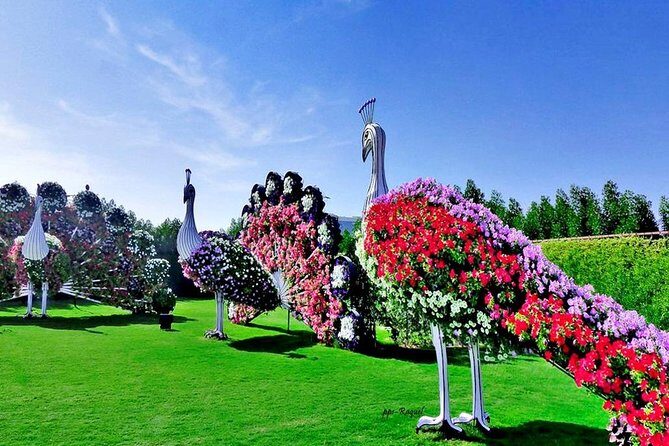 Miracle Garden: Dubai Flora and Fauna 4-Hour Tour - Price and value: what you’re really paying for