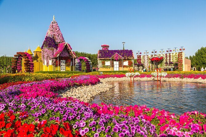 Miracle Garden Dubai Including Pickup & Drop Off - Walking the Garden: The 72,000 Square Meters That Do the Work