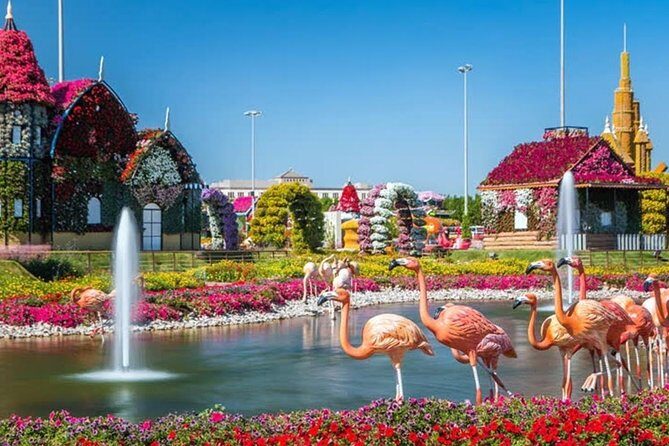 Miracle Garden Dubai Including Pickup & Drop Off - Who This Miracle Garden Tour Fits Best
