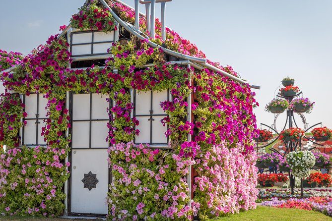 Miracle Garden In Dubai tickets with pickup drop option - Hotel Pickup in an AC Car: The Comfort Benefit You Feel Fast