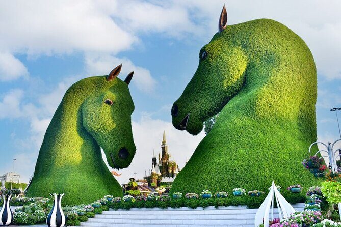 Miracle Garden Ticket Dubai with Shared Transfers - What to Bring: Heat, Comfort, and the Rules at the Gate