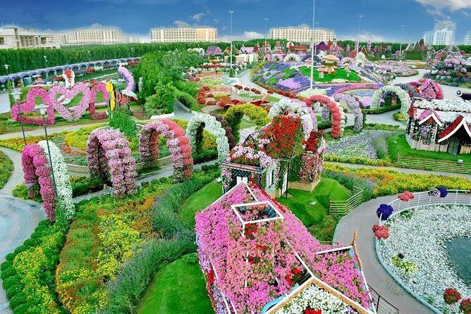 Miracle Garden Ticket Dubai with Shared Transfers - Shared Transfers: The Part You’ll Actually Notice