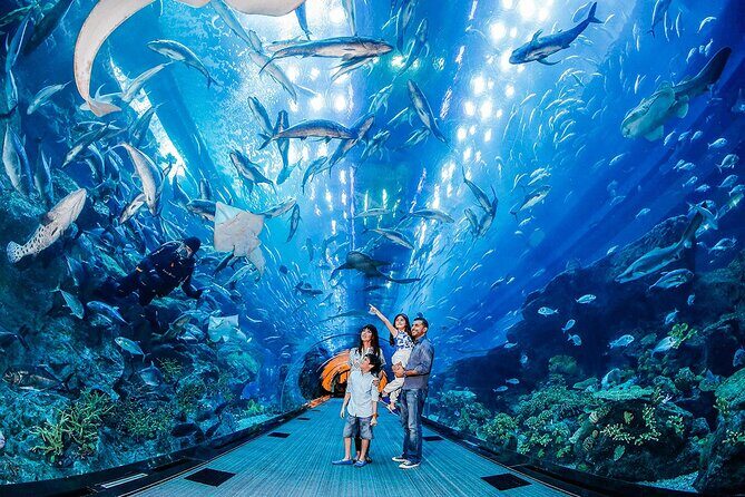 Modern Dubai Tour including Burj Khalifa Tickets - Dubai Marina: a relaxed capstone after the big-ticket sights