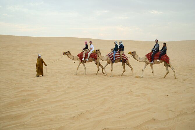 Morning Camel Safari Tour with Breakfast - Key highlights worth planning around