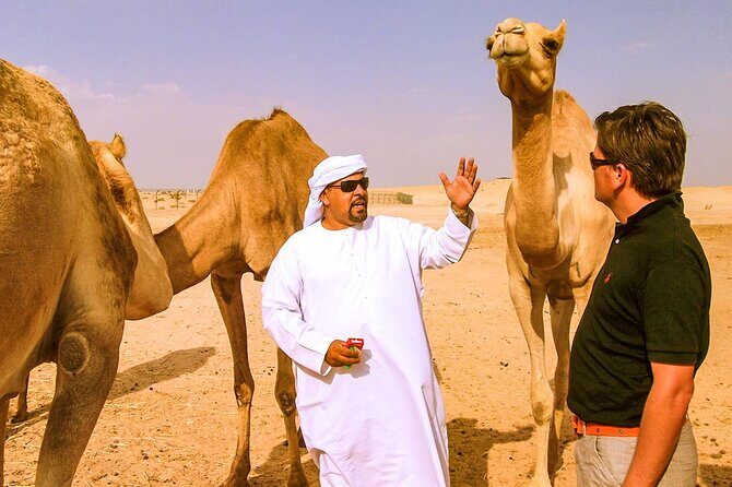 Morning Camel Safari Tour with Breakfast - Why a morning camel safari feels different in Dubai