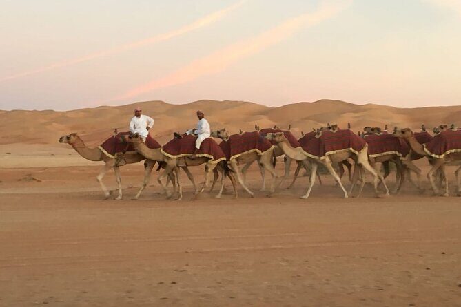 Morning Camel Trekking Over the Red Sand Dunes - Tips to make your camel trek smoother (and more fun)