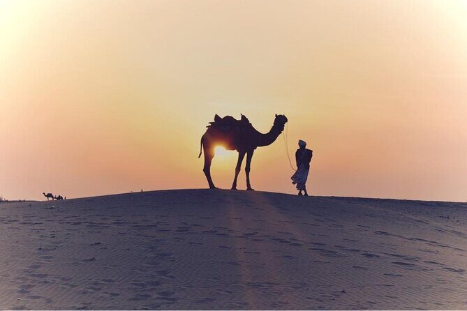 Morning Desert Safari, 25 Minutes ATV with 20 minutes Camel Ride - The 20-Minute Camel Ride: A Slower Desert Moment