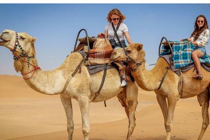 Morning Desert Safari, 25 Minutes ATV with 20 minutes Camel Ride - Sandboarding: Sliding Down After All That Bouncing