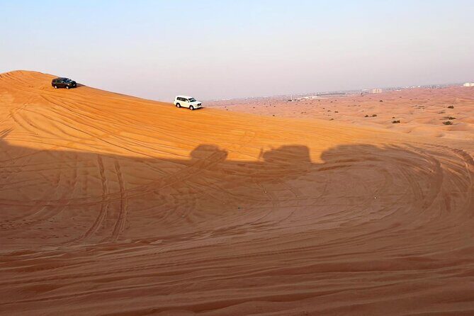 Morning Desert Safari Abu Dhabi with Camel Ride - Camel Farm Caravan Ride: A Slower Side of the Safari