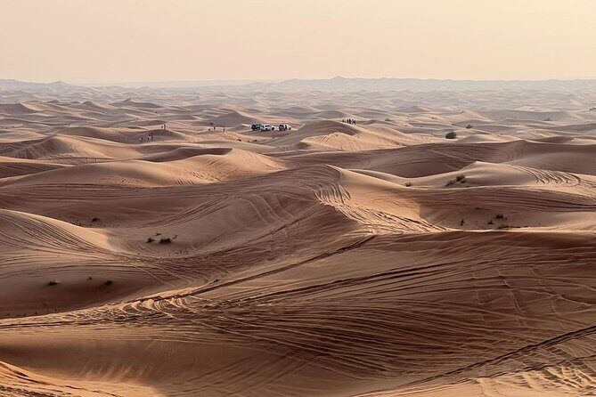 Morning Desert Safari Abu Dhabi with Camel Ride - Optional Quad Biking: Extra Adrenaline on Site