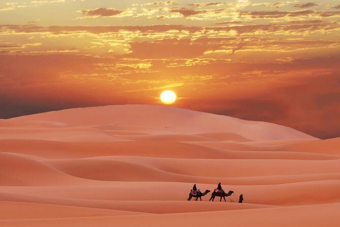 Morning Desert Safari Abu Dhabi with Camel Ride - Price and Value: How $105 Makes Sense Here