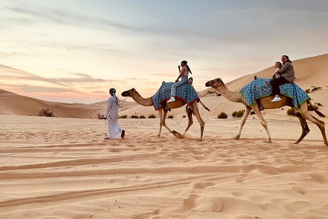 Morning Desert Safari Adventure in Abu Dhabi - Key highlights you’ll actually care about