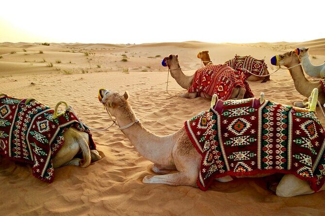 Morning Desert Safari Dubai Private Tour - Dune Bashing: Fast, Bumpy, and the Tour’s Main Event
