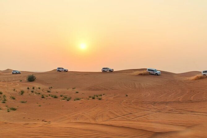 Morning Desert Safari Dubai Private Tour - Camel Riding: A Slower Moment With Real Desert Rhythm