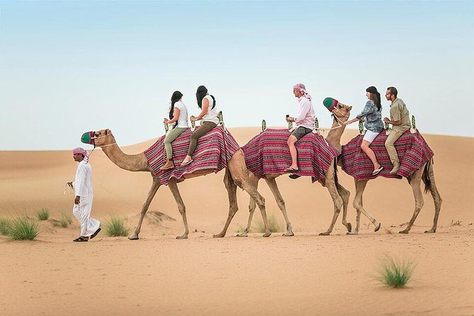 Morning Desert Safari Dubai with Dune Bashing and Sand Boarding - Key highlights worth getting excited about