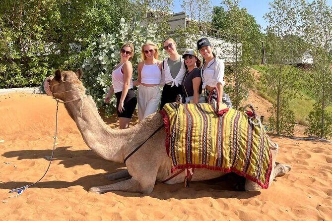 Morning Desert Safari: Dune Bashing, Camel Ride & Sandboarding - 5 hours in the desert: timing that fits a busy Dubai trip