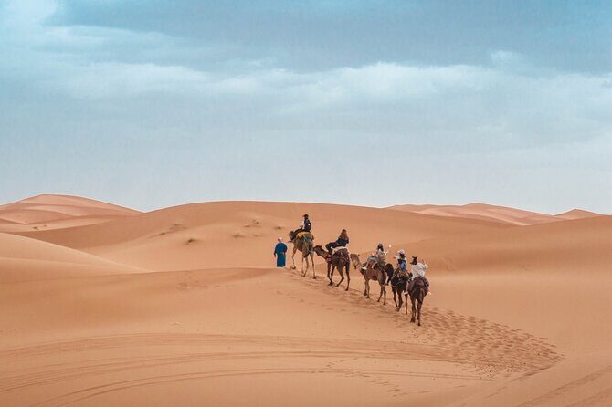 Morning Desert Safari From Abu Dhabi -Camel Ride,Sand Boarding,Camel Farm Visit - Bedouin Camp Stop: Arabic Coffee, Dates, and Picture Costumes