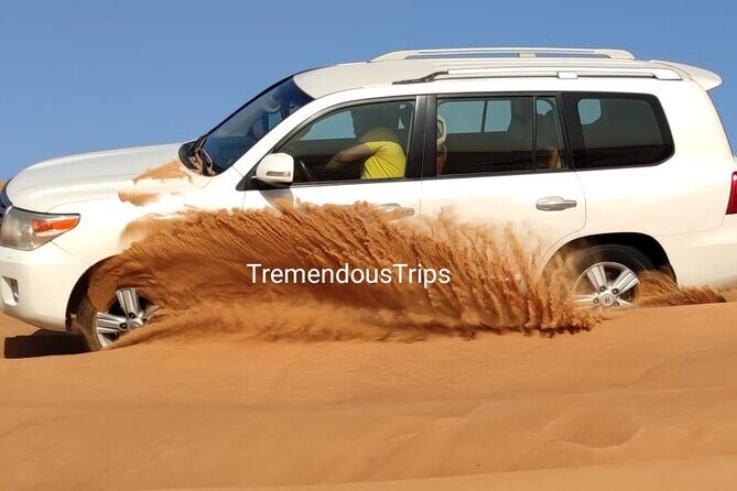 Morning Desert Safari in Dubai Private vehicle - Private Vehicle Pickup: Fewer Hassles, More Actual Safari Time