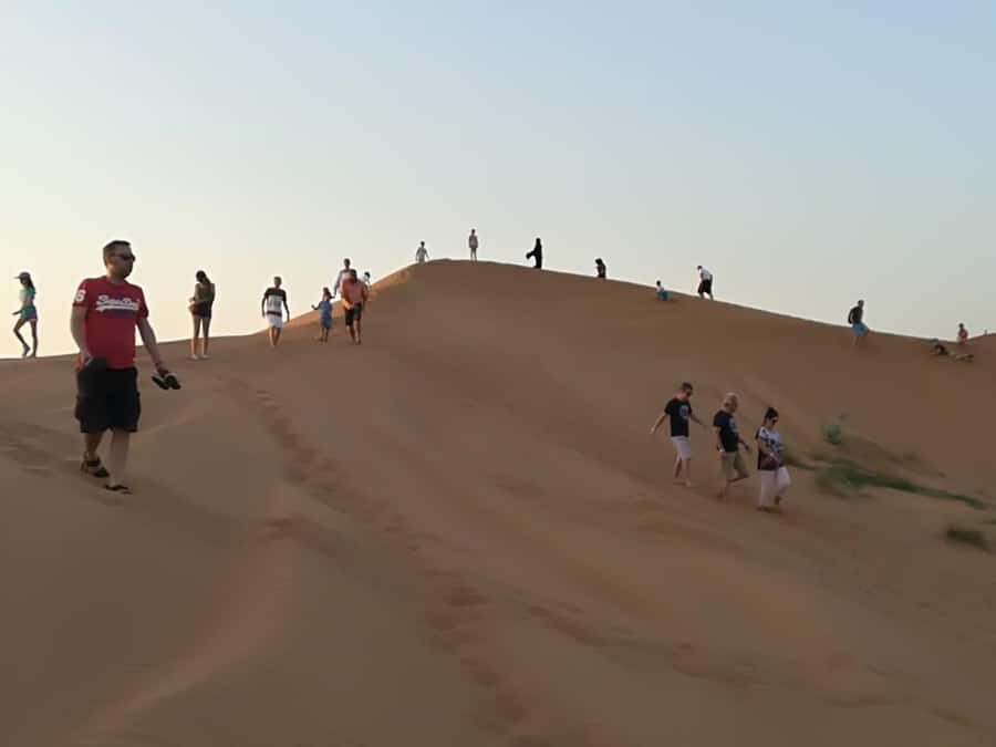 Morning Desert Safari in Ras Al Khaimah - Camel Farm Visit: Real Up-Close Desert Knowledge