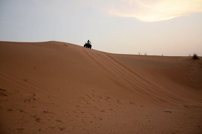 Morning Desert Safari Tour With Dune Bashing At Lahbab Desert. - Who Should Book This Morning Safari (and Who Should Reconsider)