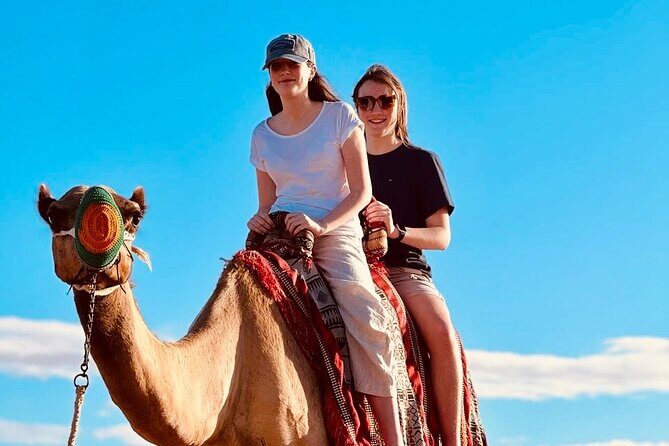 Morning Desert Safari Tour With Dune Bashing & Camel Ride - Who this tour suits best