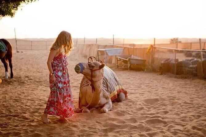 Morning Desert Safari With 20-Minutes Camel Ride - Key things worth knowing before you go