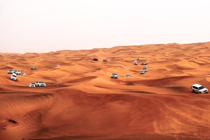Morning Desert Safari With 20-Minutes Camel Ride - Camel ride reality check: yes, it’s included—just manage expectations