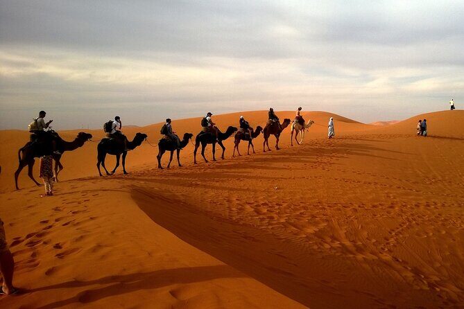 Morning Desert Safari with 4x4 Dune bashing, Camel Ride and Sandboarding - Weather, Timing, and When to Be Flexible