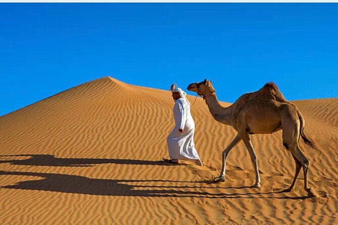 Morning Desert Safari with Camel Ride and Quad Bike - Quad Biking for 20 Minutes: Fast Fun With a Real Safety Reality Check