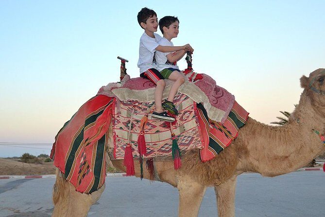 Morning Desert Safari with Camel Ride and Sand boarding - Hotel Pickup in a 4x4 Land Cruiser