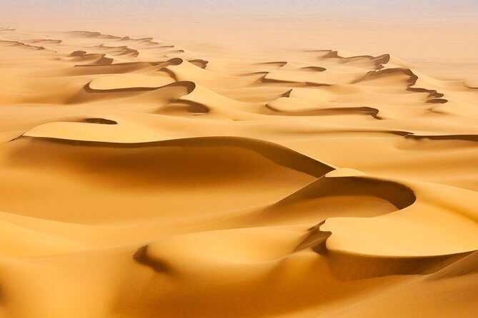 Morning Desert Safari with Camel Ride and Sandboarding - The 4WD dune bash: controlled thrills on the red dunes