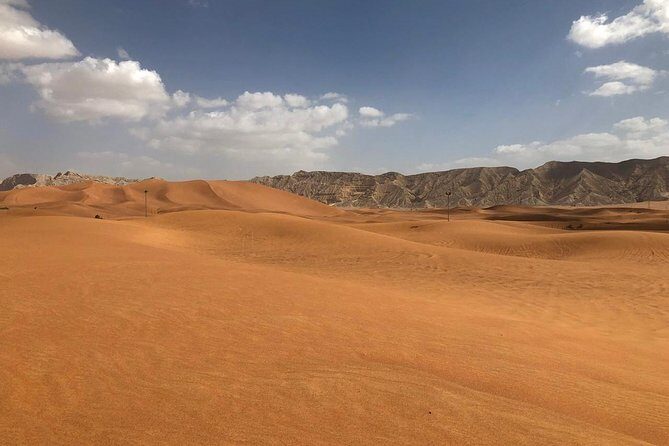 Morning Desert Safari with Camel Rides, Sand Boards and Dune Bashing - Morning Desert Safari Timing: Why the 4-Hour Window Works