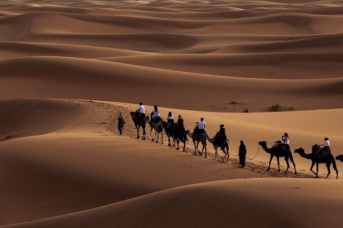 Morning Desert Safari with Dune Bashing and Sand Boarding - Key Highlights You’ll Feel Right Away