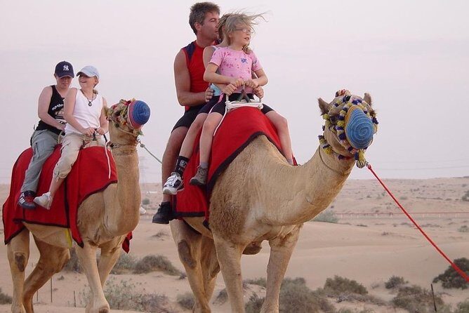 Morning Desert Safari With Quad Bike - Sandboarding Free and Quad Biking Time: Where the Fun Peaks