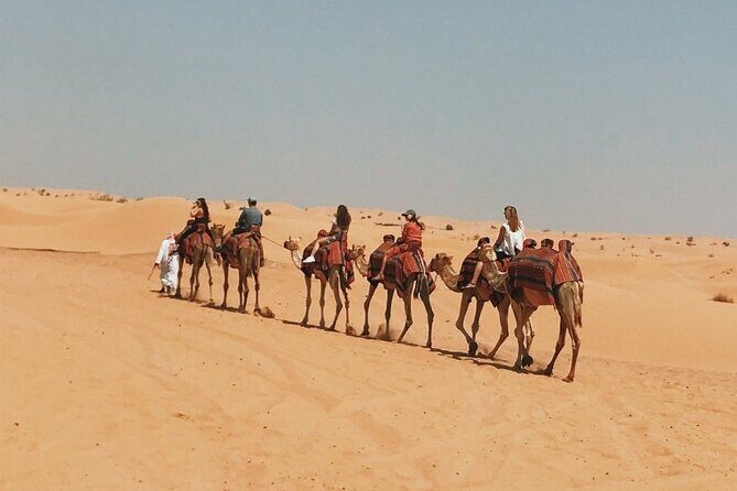 Morning Desert Safari With Quad Bike - Who This Morning Quad Bike Safari Is Best For