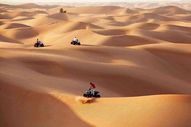 Morning Desert Safari with Quad Bike Tour Abu Dhabi - Quad bike (10 minutes) and sandboarding: thrill time, then hands-on sand sports