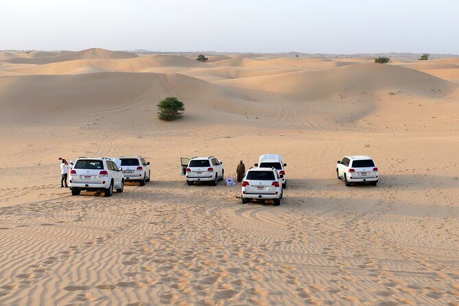 Morning Desert Safari with Quad Bike Tours - Key highlights to expect