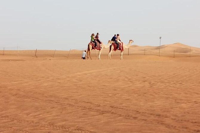 Morning Desert Safari With Quad Biking, Camel Riding and Dune Bashing - Key highlights at a glance